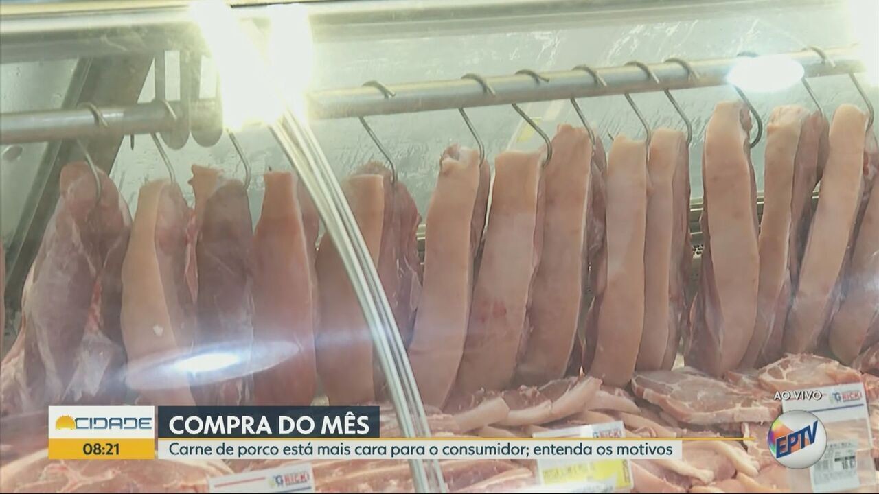 Colheita de safra do milho faz altas de preços perderem força após valor do cereal desafiar produtores, diz USP