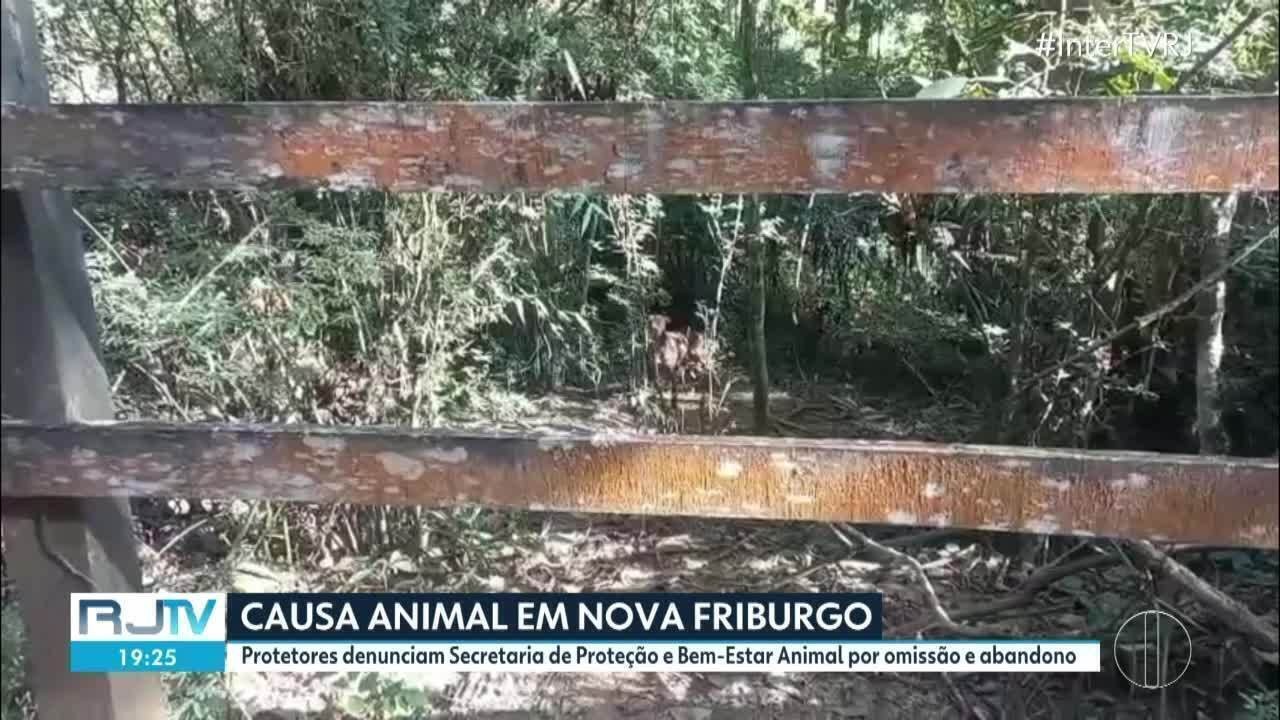 Protetores levam ao Ministério Público caso de omissão e abandono de cadela pela Secretaria de Proteção Animal de Nova Friburgo | Região Serrana