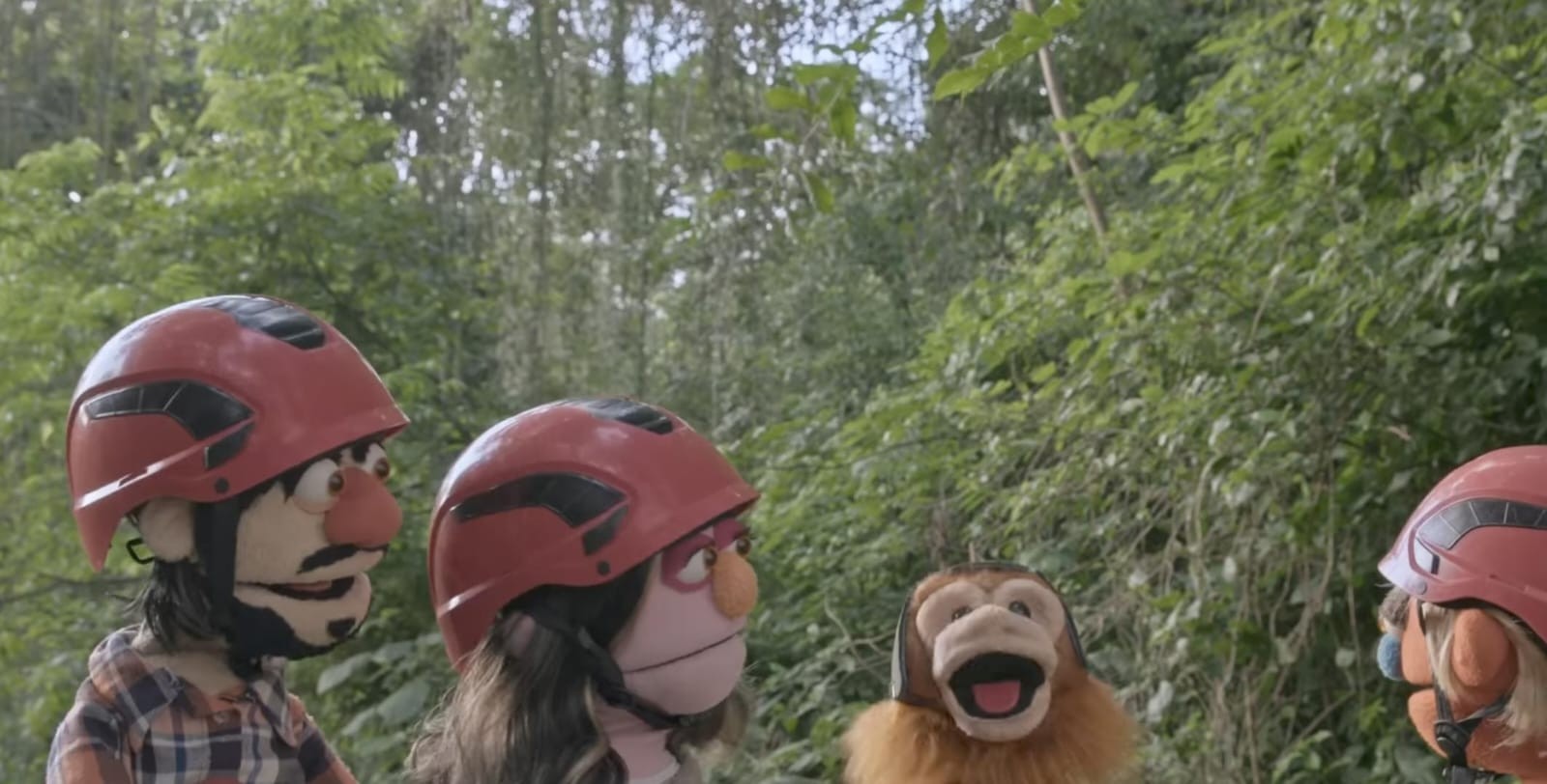 Dia do Mico-Leão-Dourado é celebrado  com exibição gratuita do filme 'Thiago & Ísis e os Biomas do Brasil'