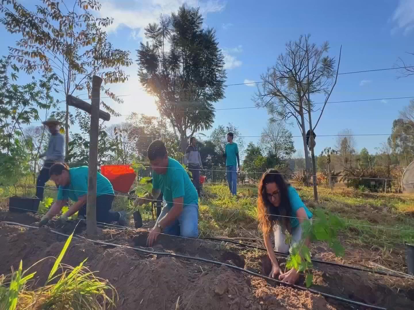 Propriedades aliam produção à proteção do meio ambiente