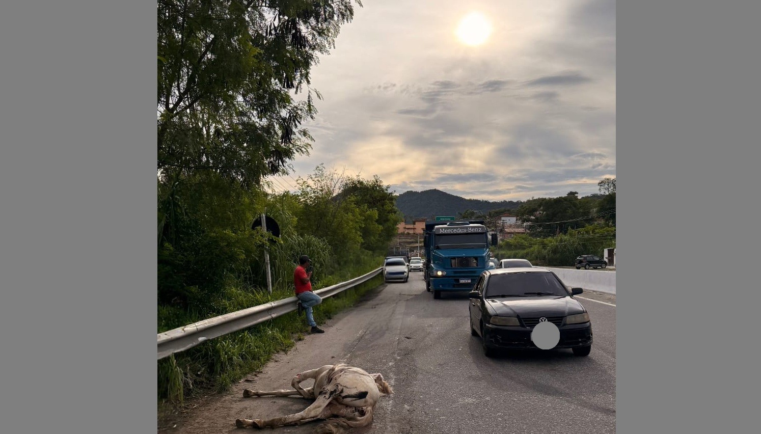 Cavalos são furtados de fazenda pública em Maricá
