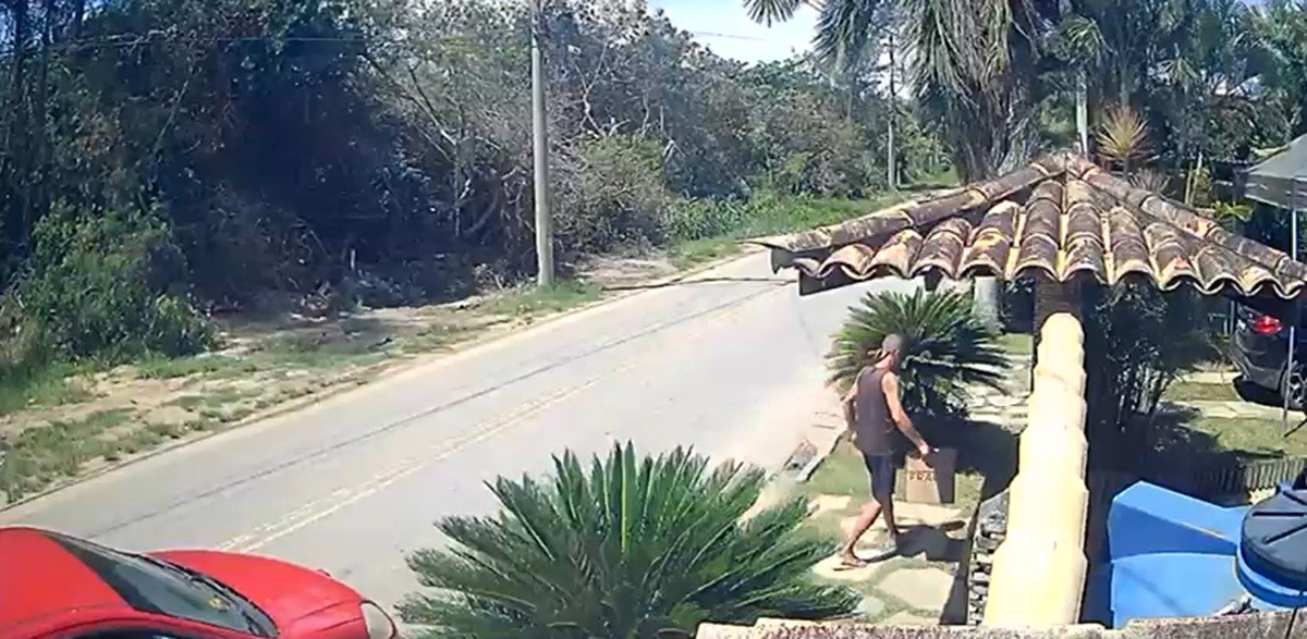 Homem é detido após abandonar filhotes de gato em frente à casa de vereador em Búzios