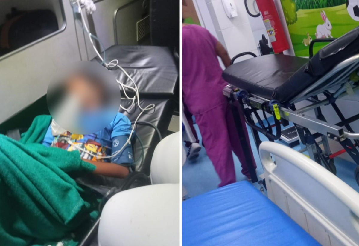 Criança morre com hemorragia ao cair de árvore: ‘só raio-x do braço’